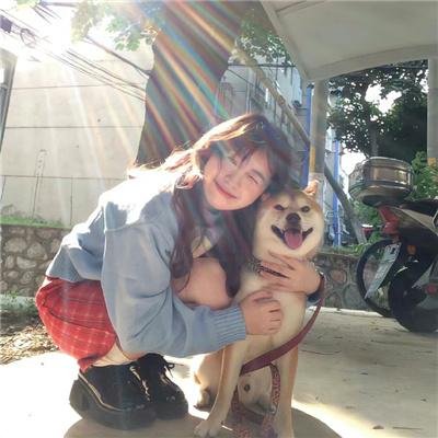 纯种狼