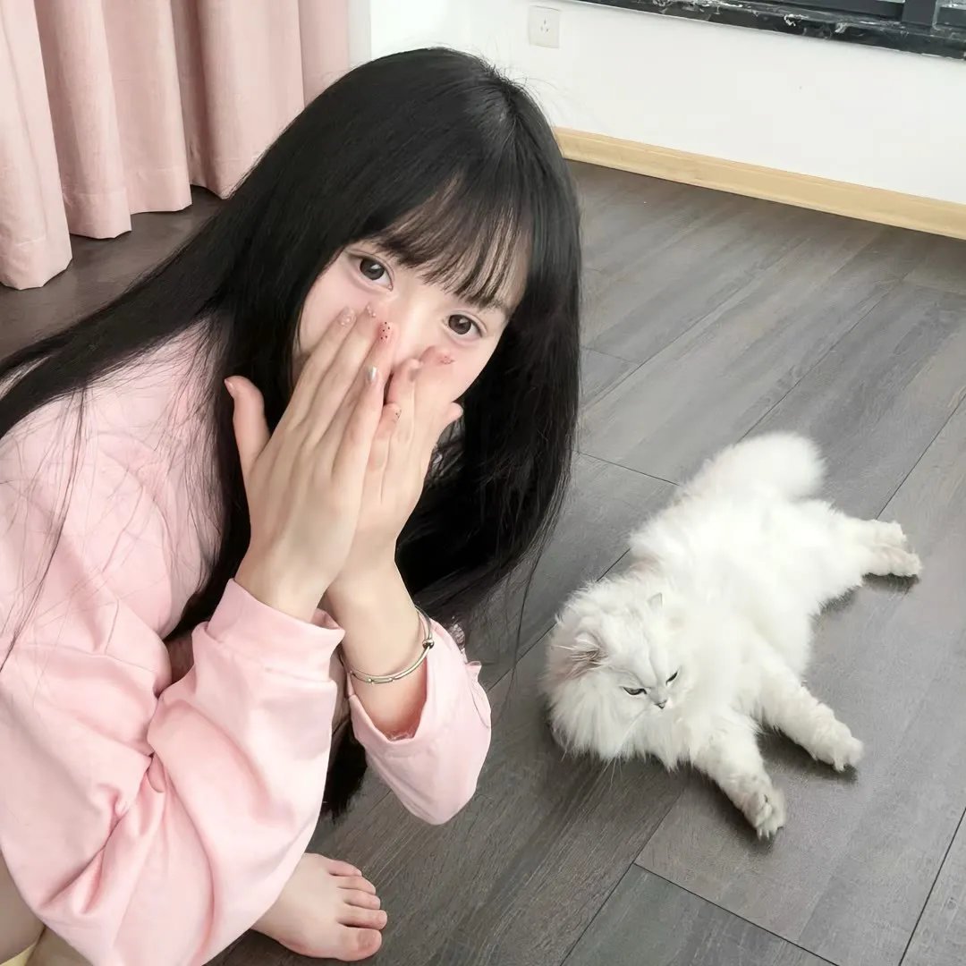 来自中国的熊猫